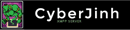 Cyberjinh