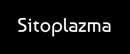 Sitoplazma