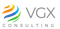 VGX Consulting