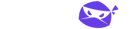 Temp Mail Ninja PW