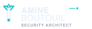 Amine Boutouil's Services