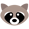 Raccoon