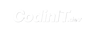 CodinIT.dev
