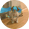 Flatnix
