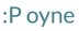 Poyne Group, Inc.