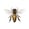 The Apiarist