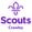 Crawley Scouts