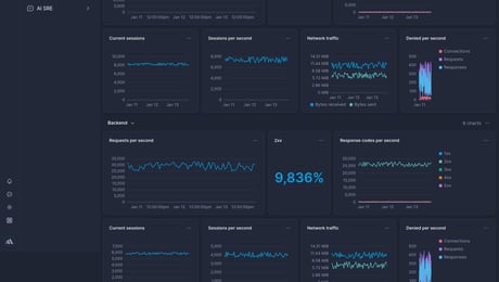 Screenshot of dashboard template