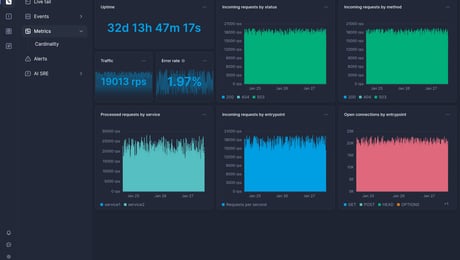 Screenshot of dashboard template