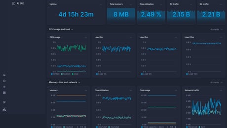 Screenshot of dashboard template