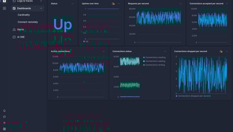 Screenshot of dashboard template