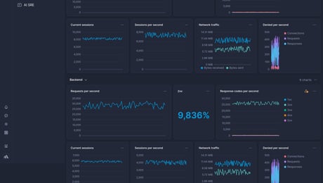 Screenshot of dashboard template