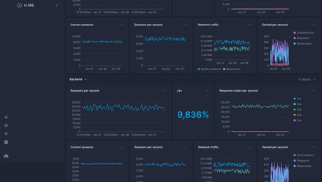 Screenshot of dashboard template