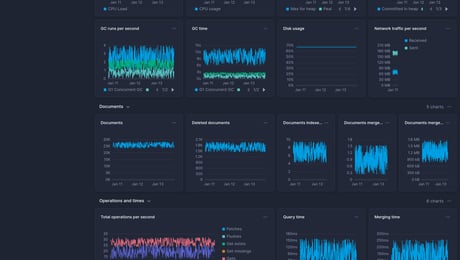 Screenshot of dashboard template