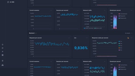 Screenshot of dashboard template