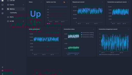 Screenshot of dashboard template