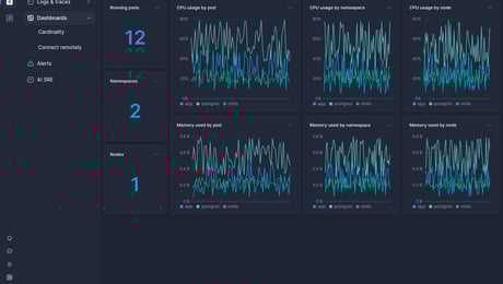 Screenshot of dashboard template