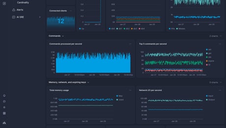 Screenshot of dashboard template